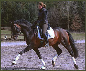 damseytrot1